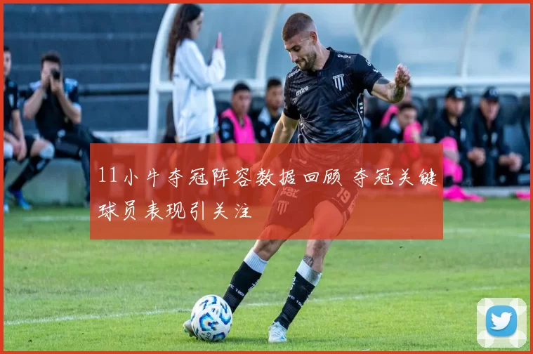 11小牛夺冠阵容数据回顾 夺冠关键球员表现引关注